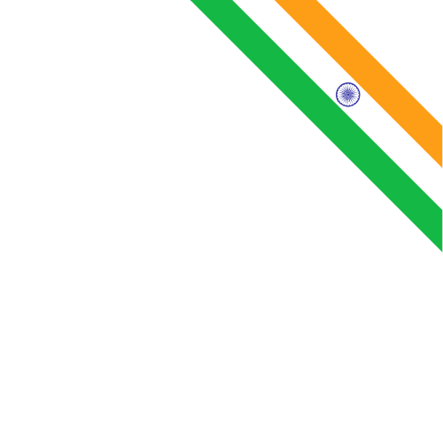 Did you know our India University Transcript is designed to match real Indian university documents? India flag — accurate layout badge