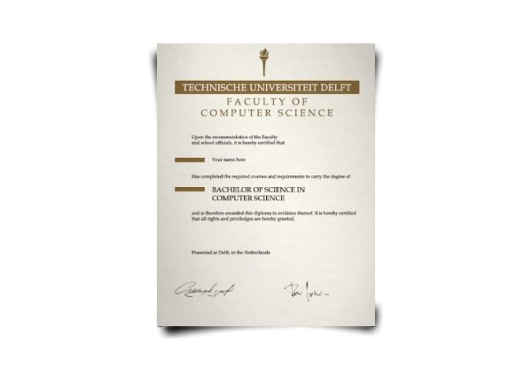 Netherlands University Diploma