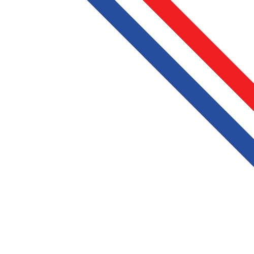 Did you know our Netherlands University Transcript is designed to match real Dutch university documents? Netherlands flag — accurate layout badge
