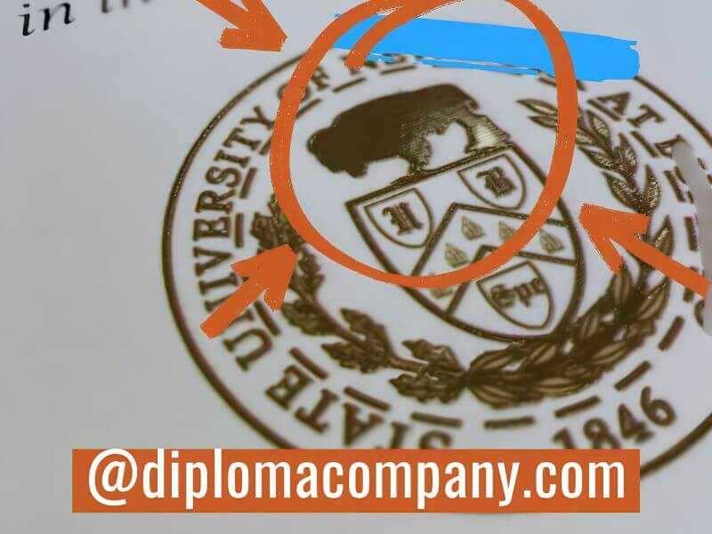 Embossed university seal detail on a replica diploma