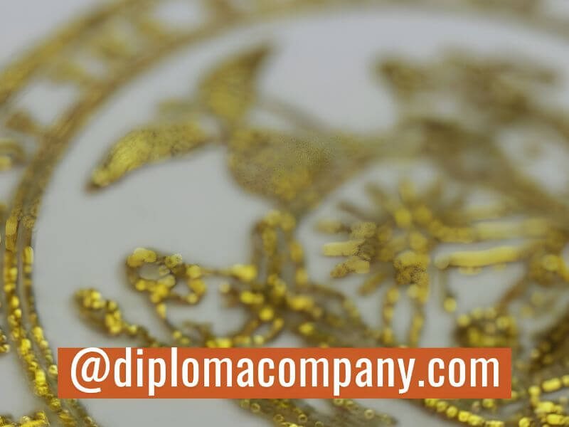 Close-up of gold foil raised seal on a replica diploma
