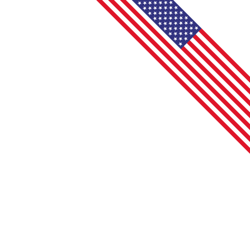 USA flag — we carry accurate American diploma and transcript layouts